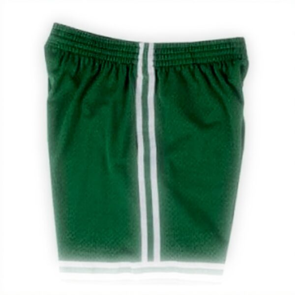 Pantaloncini da basket Mitchell Ness verde uomo 100