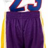 Pantaloncini NBA Lakers Mitchell Ness Swingman Uomo Lilla