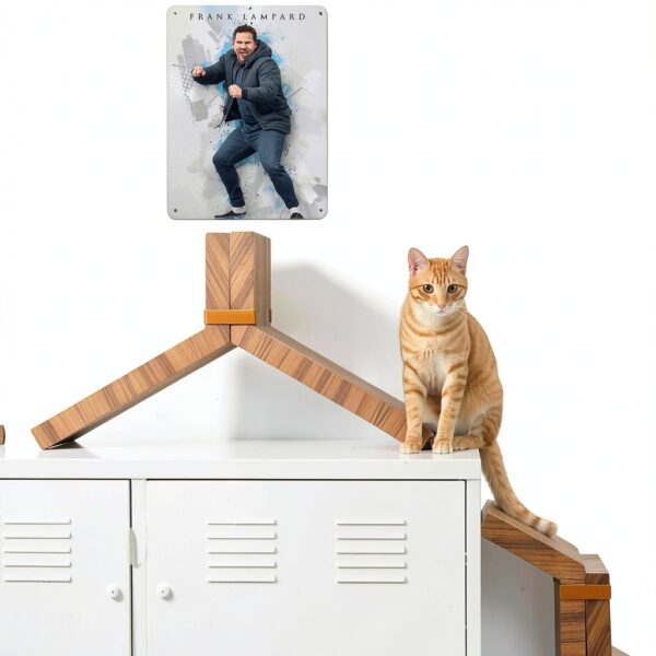 Targa in metallo vintage Frank Lampard 30x40 cm per pub e casa-2